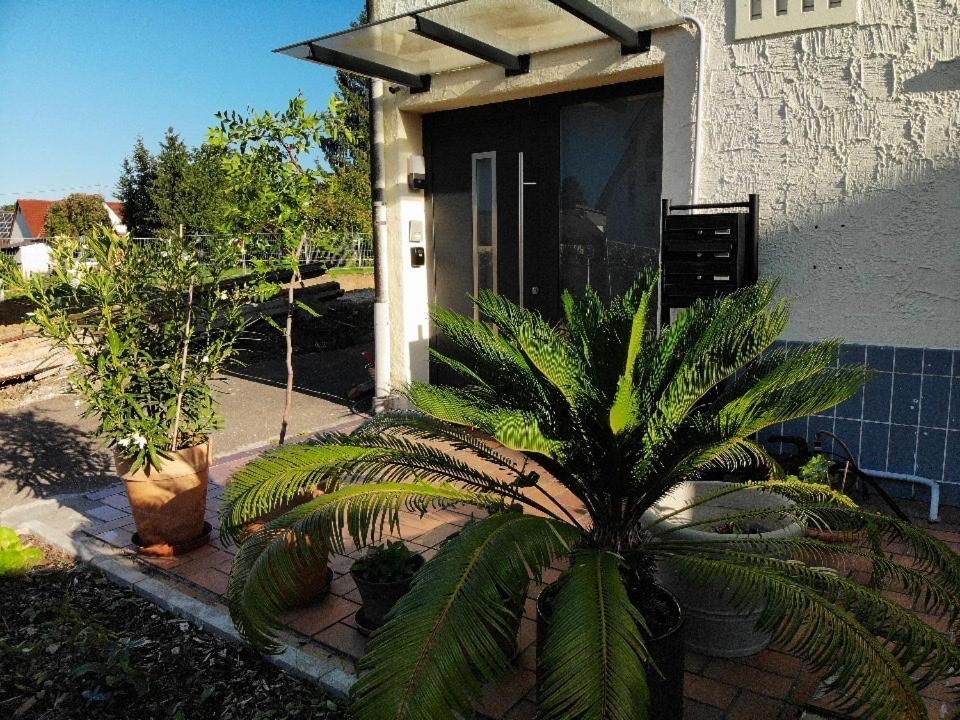 Sonnige 3 Zimmer Wohnung mit schönem Balkon im Grünen Reutlingen Exterior foto